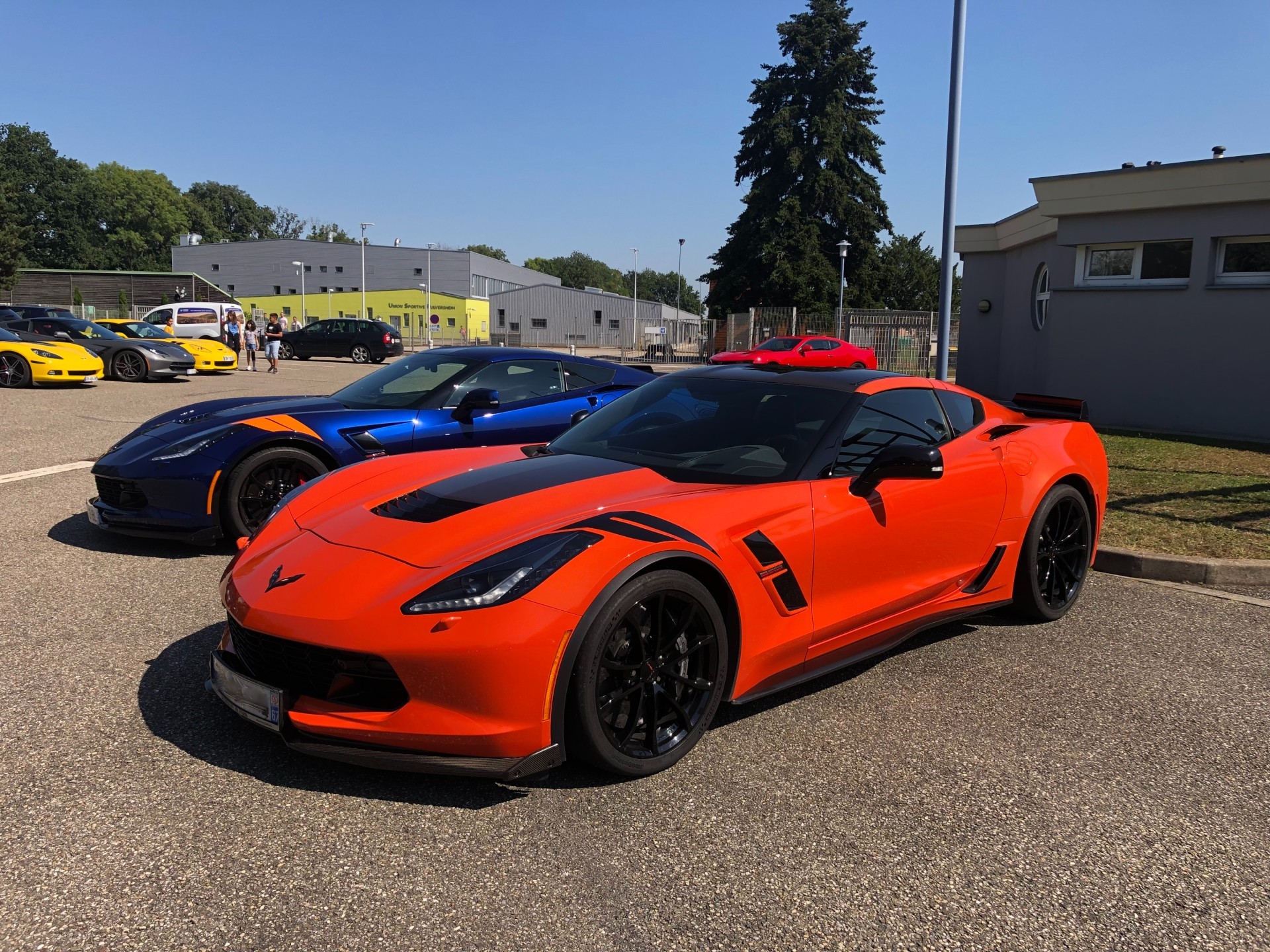 Corvette day 27